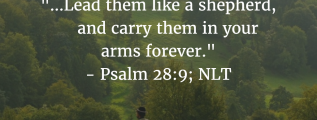 Psalm 28:9: Lead them like a shepherd, and carry them in your arms forever.