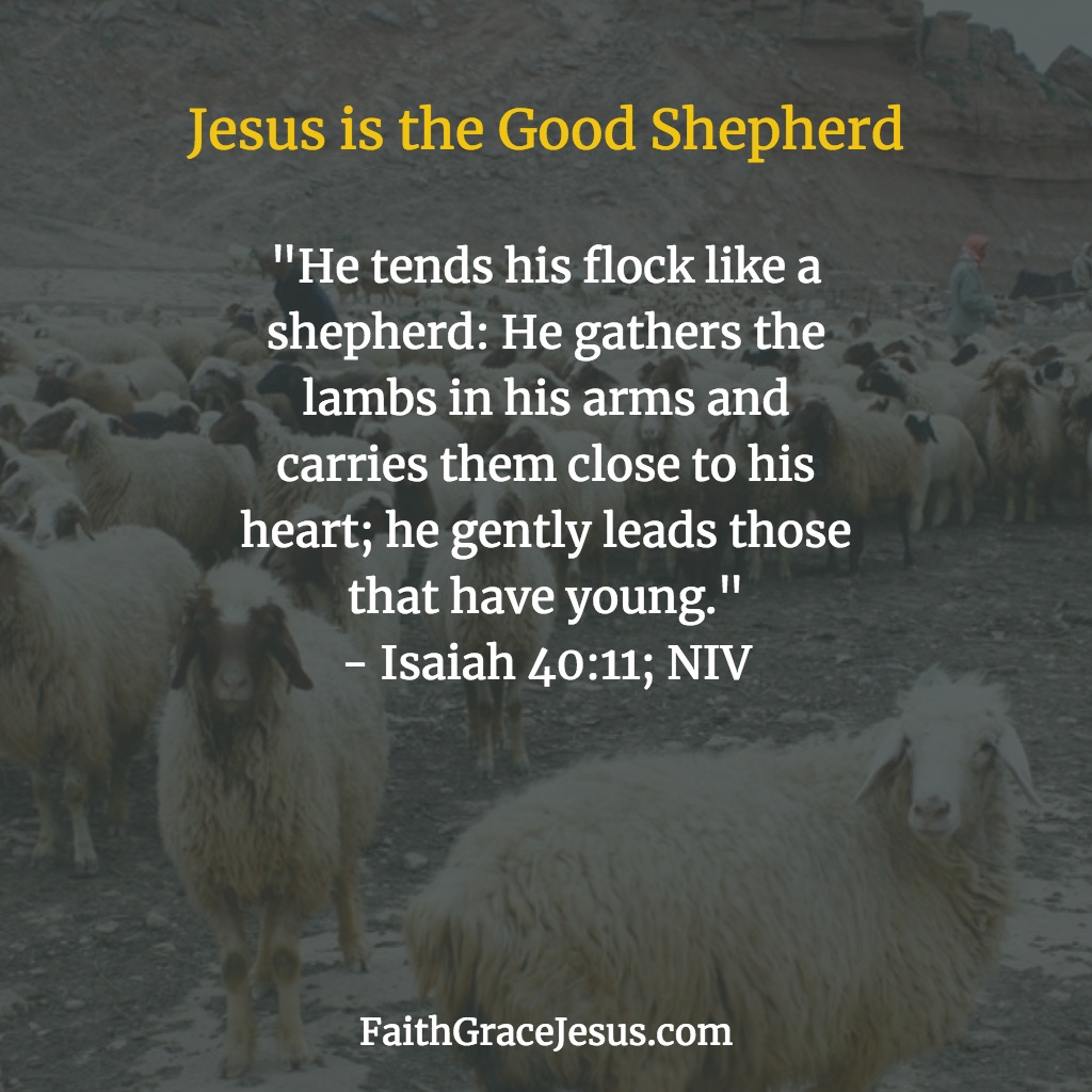 He tends His flock like a shepherd - Isaiah 40:11 (NIV)