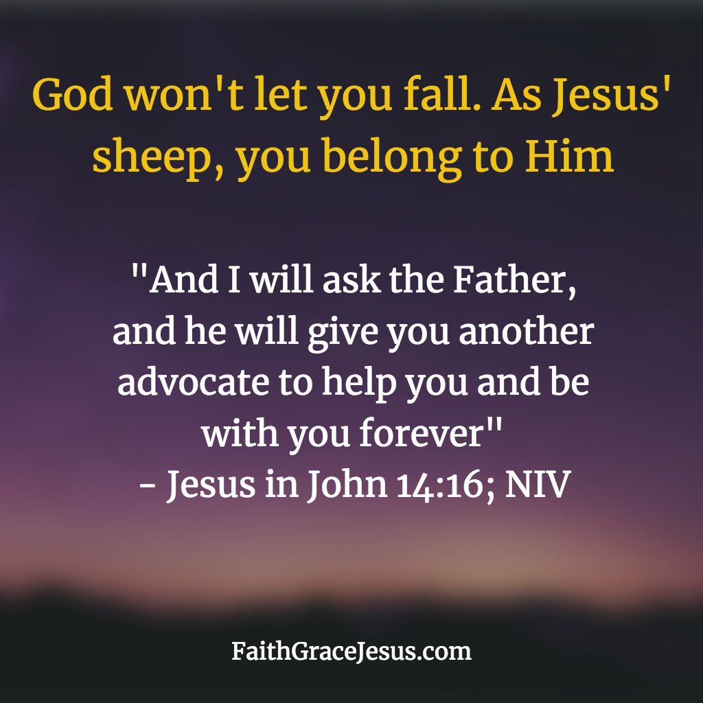 Jesus in John 14:16 (NIV)