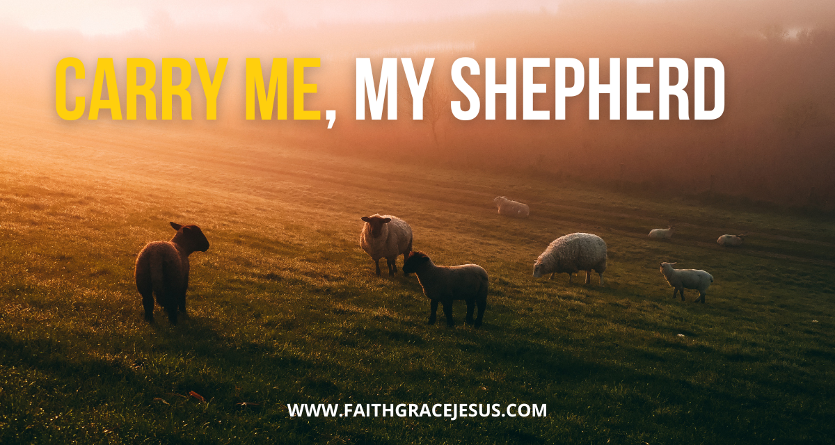 Carry me, my Shepherd